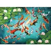 Image de Puzzle 1000 pièces : Carpes Koï colorées EuroG-6000-5696