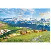 Image de Puzzle 1000 pièces : Les élans de la montagne EuroG-6000-5705