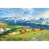 Image de Puzzle 1000 piÃ¨ces : Les Ã©lans de la montagne
