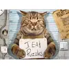 Image de Puzzle 500 piÃ¨ces : Chat criminel par Paul Normand