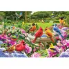 Image de Puzzle 2000 pièces : Rassemblement d'oiseaux EuroG-8220-6134