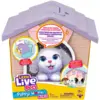 Image de Little live pets chien surprise niche rose