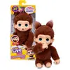 Image de Bébé singe marron intéractif - Little live Pets