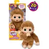 Image de Bébé singe caramel interactif - Little live Pets