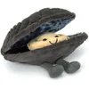 Image de Peluche Amuseable Michelle la moule (17 cm)