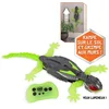 Image de Gecko Hex Bots radiocommandé