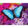 Image de Puzzle 550 pièces : Iridescence Masterpieces-31622