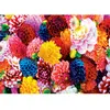 Image de Puzzle 550 pièces : Brilliance - Belles Fleurs Masterpieces-31988,01