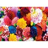 Image de Puzzle 550 piÃ¨ces : Brilliance - Belles Fleurs