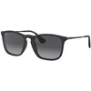 Image de RAY BAN Lunettes de soleil 4187/54 noir