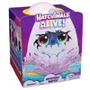 Image de Hatchimals Alive eclosion Draggle
