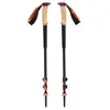 Image de Bâton de trail Black Diamond Cork BD110065-6052 Marron TU