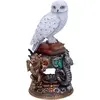 Image de Figurine médium Nemesis Now Hedwig 22 cm Multicolore 15x15x22 cm 634HAR001