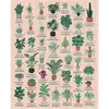 Image de Puzzle 1000 pièces : Plantes d'intérieur Galison-40626