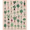 Image de Puzzle 1000 piÃ¨ces : Plantes d'intÃ©rieur