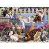 Image de Puzzle 1000 pièces : Une vie de chat VC1164