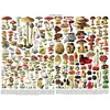 Image de Puzzle 1000 pièces : Mushrooms Champignons Newyork-PD638