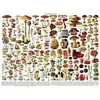 Image de Puzzle 1000 piÃ¨ces : Mushrooms Champignons