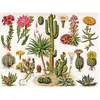 Image de Puzzle 1000 pièces : cactus NPZPD1833