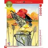 Image de Puzzle 1000 piÃ¨ces : CrÃ©cerelle d'AmÃ©rique