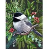 Image de Puzzle 500 pièces : mésange à tête noire NPZCB2083