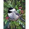 Image de Puzzle 500 piÃ¨ces : mÃ©sange Ã  tÃªte noire