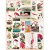 Image de Puzzle 1000 pièces : Flamingos and Flowers Newyork-NPZPD2351
