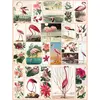 Image de Puzzle 1000 piÃ¨ces : Flamingos and Flowers