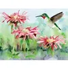 Image de Puzzle 1000 piÃ¨ces : Colibri Ã  gorge rubis