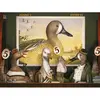 Image de Puzzle 1000 pièces : Juges de canards NPZBM2522