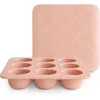 Image de Moule à congeler Blush