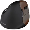Image de Evoluent VerticalMouse 4 Small Wireless
