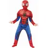Image de Déguisement luxe Spider-Man - Garçon R640841T78