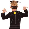Image de Tee-shirt et masque Miraculous : Chat noir I-300836