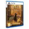 Image de Beast Of Reincarnation PS5