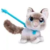 Image de Mon grand chaton marcheur FurReal
