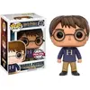 Image de Figurine Funko Pop Harry Potter Sweater Exclusive Bleu 9 cm 889698109970