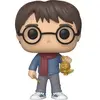 Image de Figurine Funko POP Harry Potter Holiday Harry Potter Multicolore 9 cm 889698511520