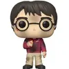 Image de Figurine Funko Pop Harry Potter Anniversary Harry with The Stone Beige 9 cm 889698573665