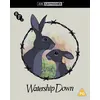 Image de Watership Down Blu-ray 4K Ultra HD