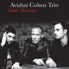 Image de Gently Disturbed Avishai Cohen (Interprète) Vinyle album
