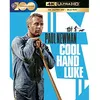 Image de Cool Hand Luke Blu-ray 4K Ultra HD