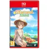 Image de Starsand Island Nintendo Switch 2