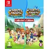 Image de Harvest Moon The Lost Valley + Skytree Village Collector's Edition Nintendo Switch