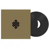Image de Live At The Volksbühne, Berlin, New Year's Eve, 2005 Throbbing Gristle (Interprète) Vinyle album