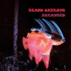 Image de Paranoid Black Sabbath (Interprète) Vinyle album