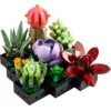 Image de LEGO Botanicals Les succulentes 10309