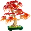 Image de LEGO Botanicals Bonsaï d'érable rouge du Japon 10348