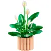 Image de LEGO Botanicals Les fleurs de lune 11504