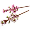 Image de LEGO Autre Les fleurs de cerisier 40725